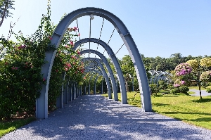 钢结构花架